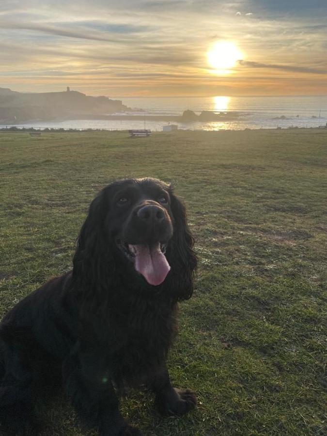 Pentire Coastal Holiday Park Bude Luaran gambar